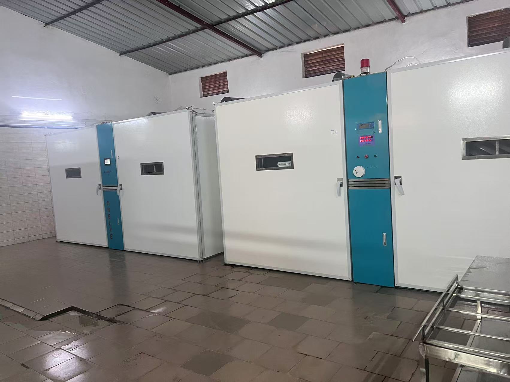 Latest company blogs about Πώς η αυτοματοποίηση αυξάνει το ποσοστό εκκολάψεων σε 98% στις σύγχρονες εκκολαπτικές μονάδες