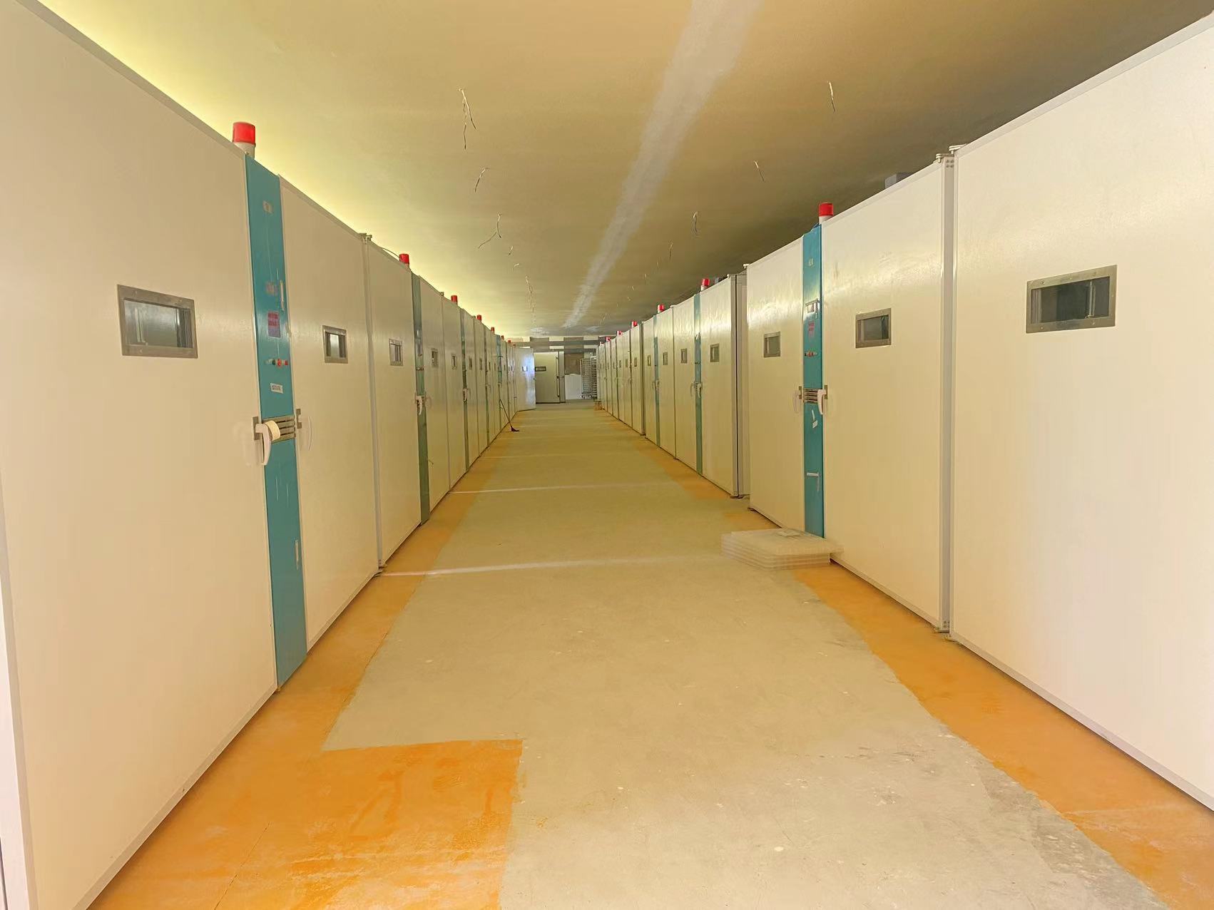 Τελευταία εταιρικά blogs για Ανθεκτικές Λύσεις για Πουλερικά: Γιατί τα Αφρικανικά Εκκολαπτήρια Μεταβαίνουν σε Ανοξείδωτο Χάλυβα & Fiberglass ELT-57600S