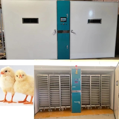 Αγορά 220V/50Hz εκκολάπτοντας μηχανή κοτόπουλου με την ακρίβεια υγρασίας ±3%RH online manufacture