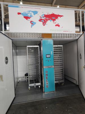 Αγορά Εμπορική εκκολαπτική συσκευή για αυγά κοτόπουλου με οθόνη αφής ELT-19200 online manufacture