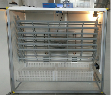 Αγορά Επωαστήρας 2000 φασιανών αυγά online manufacture