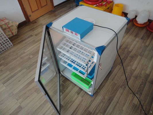 Αγορά Εμπορικός αυτόματος επωαστήρας 250 κοτόπουλου αυγά online manufacture