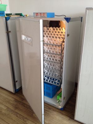 Αγορά Αυτόματη εκκολάπτοντας μηχανή 600 επωαστήρων αυγών πουλερικών επωαστήρας αυγών online manufacture