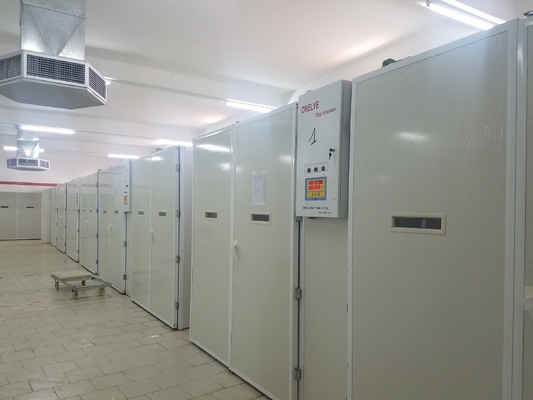 Αγορά Εκκολάπτοντας μηχανή αυγών κοτόπουλου 20000 επωαστήρων online manufacture