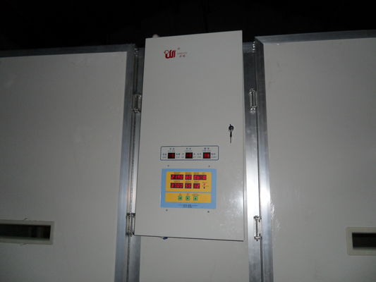 Αγορά Ενιαίος σκηνικός επωαστήρας SS για τον επωαστήρα αυγών ικανότητας αυγών 10000 πουλιών online manufacture