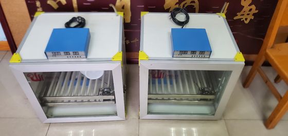 Αγορά Σπιτικά μικρά πλήρως αυτόματα μίνι 6 ΟΝΕ αυγών αυγά 180W επωαστήρων online manufacture