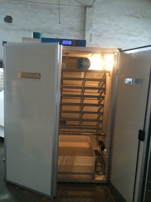 Αγορά Ψηφιακός επωαστήρας Hatcher 7956 ρυθμιστών αυγών εκκολάπτοντας μηχανή αυγών ορτυκιών online manufacture