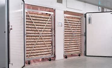 Αγορά Ευφυής ενιαίος σκηνικός επωαστήρας 31824 ορτυκιών αυγών με το αυγό Turner online manufacture