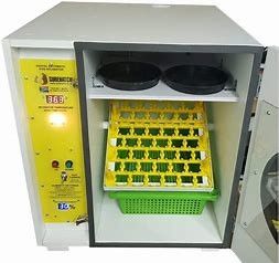 Αγορά Τεράστιος αυτόματος επωαστήρας 672 τρόπου περιστεριών ευφυής πολυ αυγά online manufacture