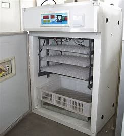 Αγορά 200PCS τεράστια εξωθημένα επωαστήρας τμήματα αυγών πουλερικών online manufacture