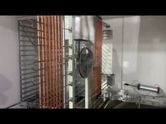 προηγμένη θερμοκοιτίδα 38400 αυγών